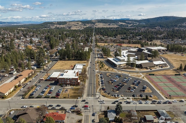 aerial view with a mountain view