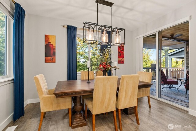 dining room featuring baseboards and wood finished floors