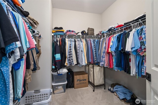 spacious closet with carpet floors