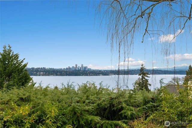 3732 E High Ln, Seattle, WA 98112 - view of water feature