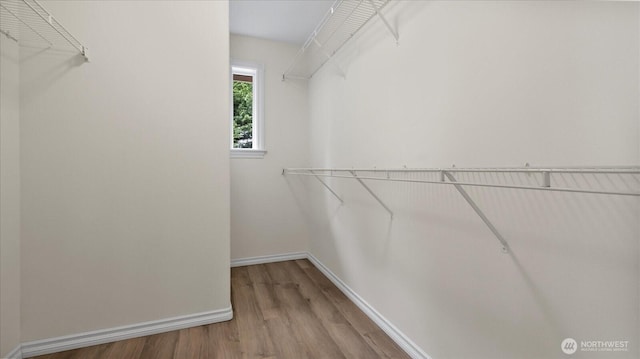 walk in closet with wood finished floors