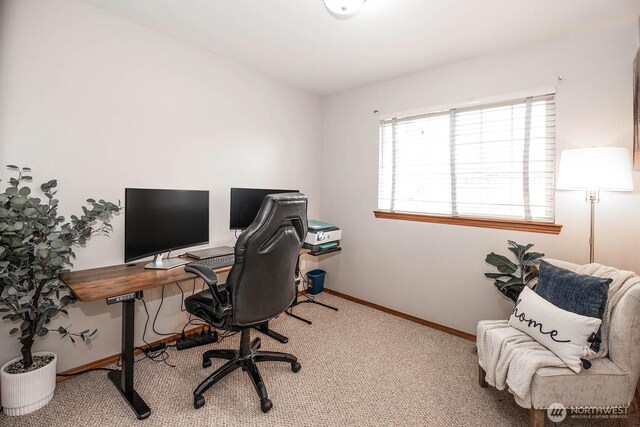 office area with carpet flooring and baseboards