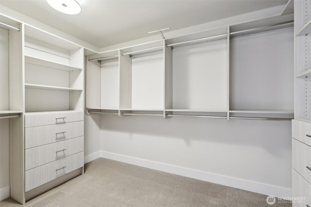 spacious closet featuring light carpet