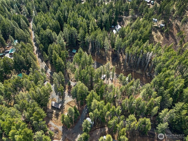 170 Pumphouse Hill Rd, Cle Elum, WA 98922 - photo 13