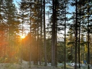 170 Pumphouse Hill Rd, Cle Elum, WA 98922 - photo 21
