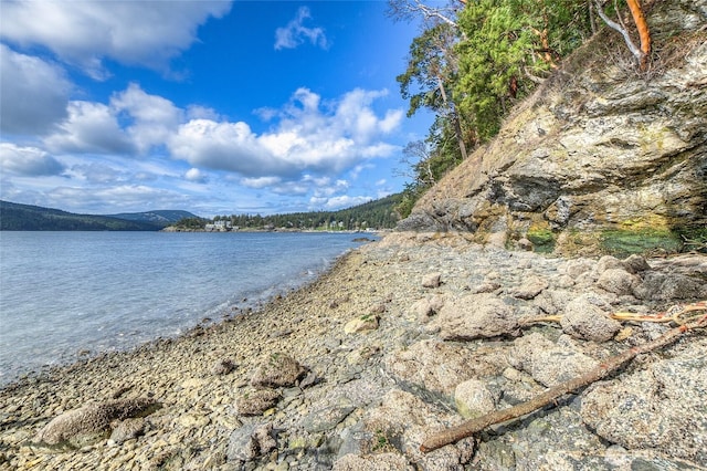 242 Marina Heights Ln, Orcas Island, WA 98245 - photo 33