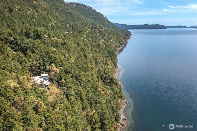 242 Marina Heights Ln, Orcas Island, WA 98245 - photo 5