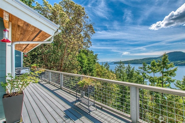 242 Marina Heights Ln, Orcas Island, WA 98245 - photo 20