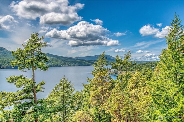 242 Marina Heights Ln, Orcas Island, WA 98245 - photo 21