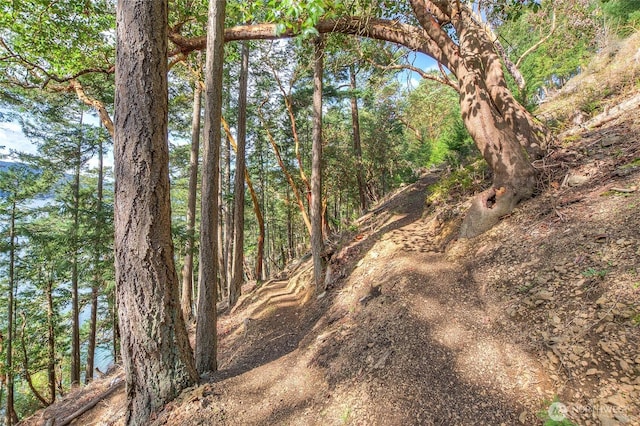 242 Marina Heights Ln, Orcas Island, WA 98245 - photo 25