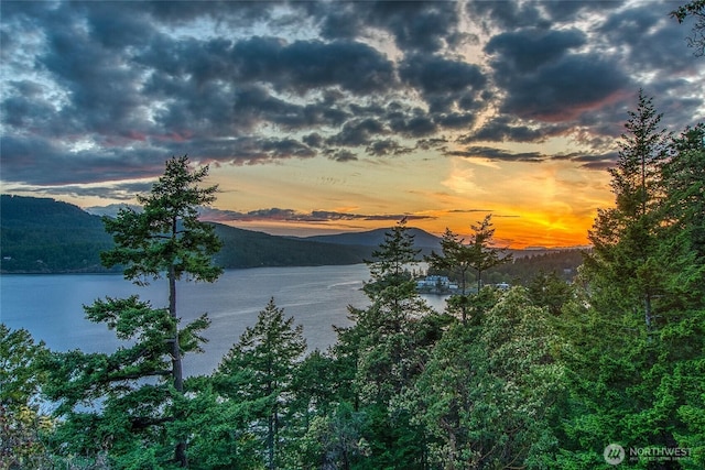 242 Marina Heights Ln, Orcas Island, WA 98245 - photo 36
