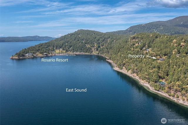 242 Marina Heights Ln, Orcas Island, WA 98245 - photo 40