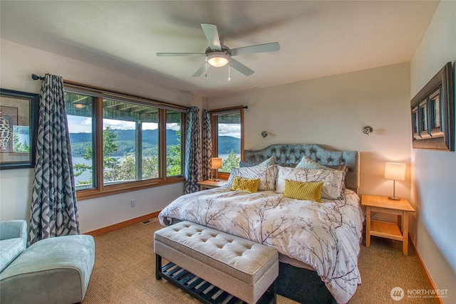 242 Marina Heights Ln, Orcas Island, WA 98245 - photo 29