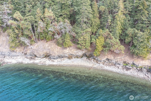 242 Marina Heights Ln, Orcas Island, WA 98245 - photo 39