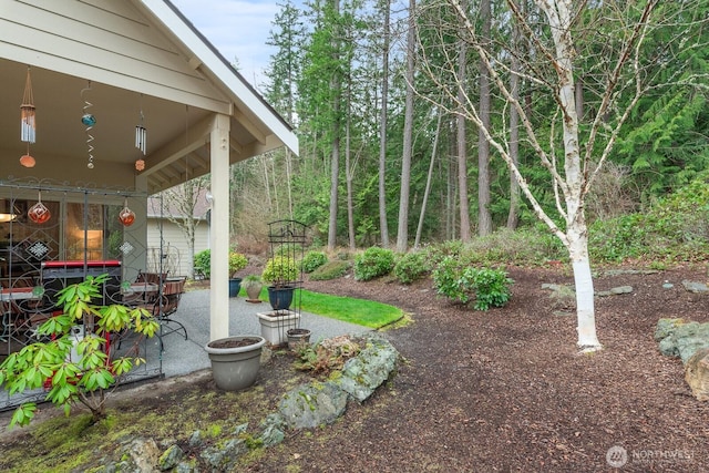 view of yard with outdoor dining space and a patio area