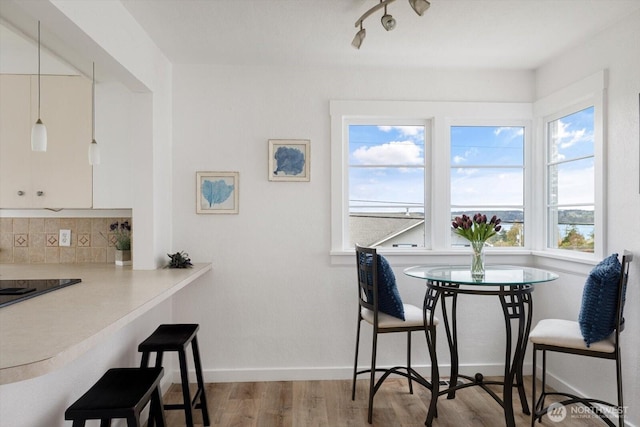 dining space featuring baseboards and wood finished floors