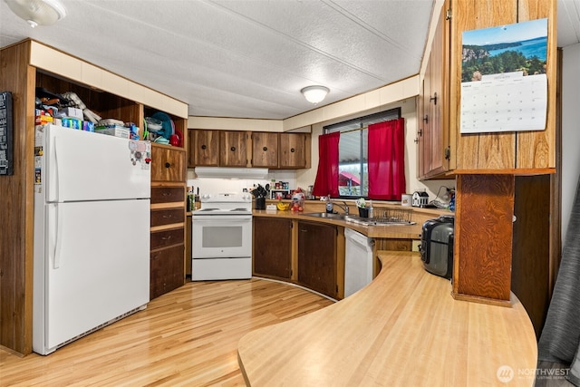 kitchen featuring under cabinet range hood, light countertops, light wood-style flooring, white appliances, and a sink