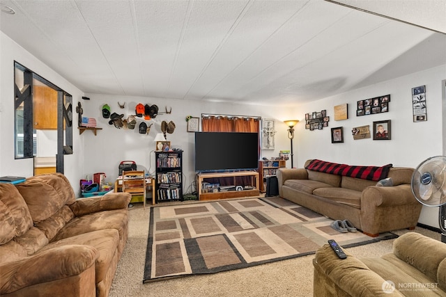 living room with a textured ceiling and carpet