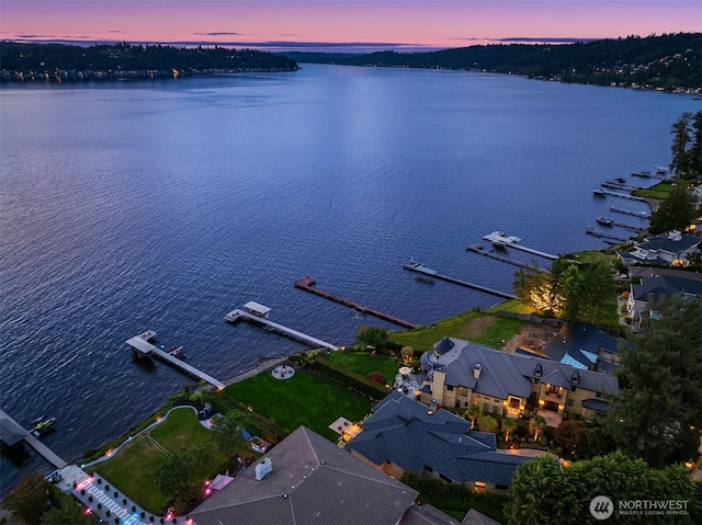 253 E Lake Sammamish Pkwy SE, Sammamish, WA 98074 - aerial view at dusk with a water view