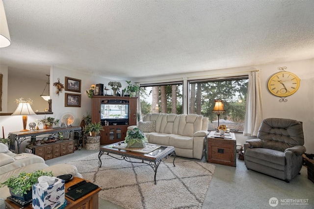 carpeted living room featuring plenty of natural light and a textured ceiling