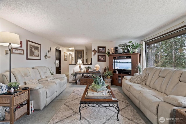 living area featuring light colored carpet and a textured ceiling