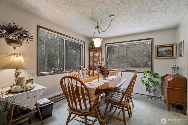 dining room with baseboard heating, a healthy amount of sunlight, a textured ceiling, and carpet