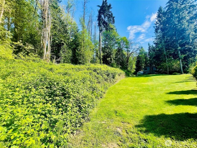 3124 Zenkner Valley Rd SW, Centralia, WA 98531 - view of green lawn
