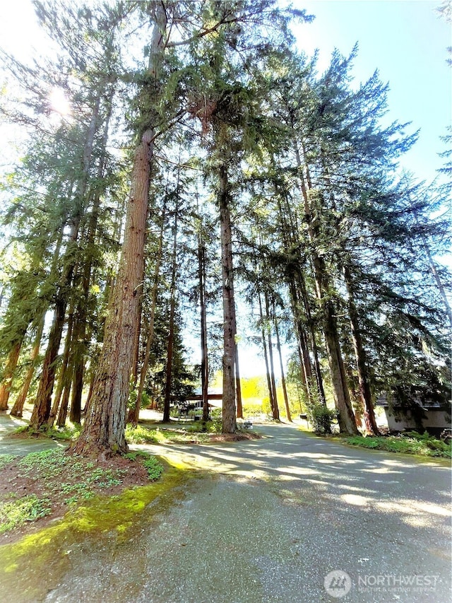 3124 Zenkner Valley Rd SW, Centralia, WA 98531 - view of asphalt street