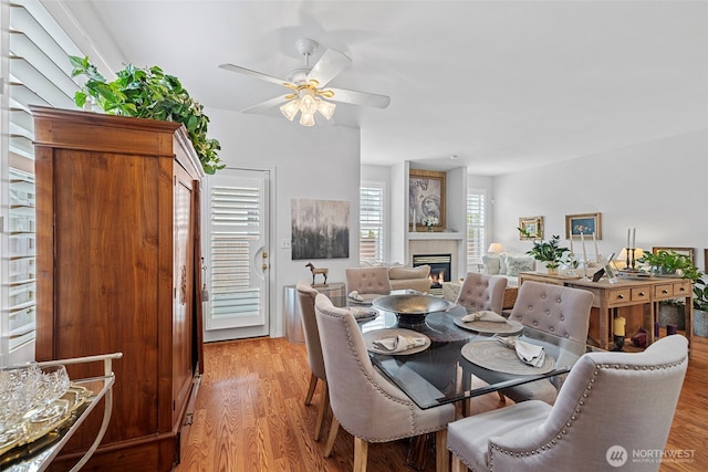 dining room with a fireplace, light wood finished floors, and ceiling fan