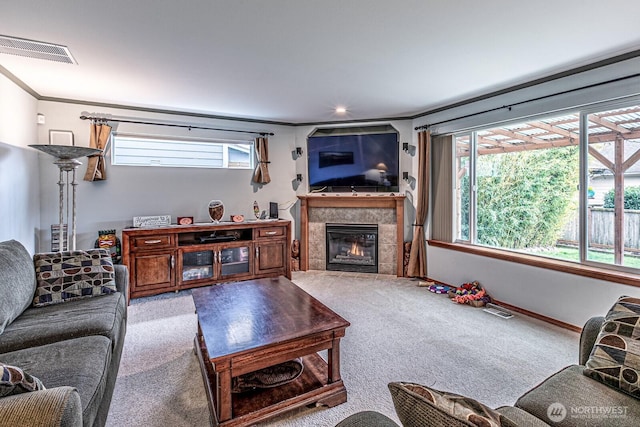 carpeted living area featuring visible vents, plenty of natural light, a fireplace, and crown molding