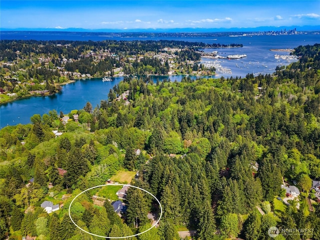bird's eye view with a water view and a view of trees