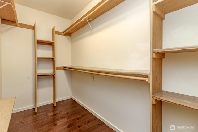 spacious closet featuring dark wood finished floors