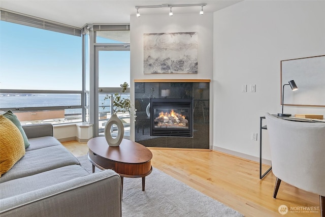 living area with a fireplace, rail lighting, baseboards, and wood finished floors