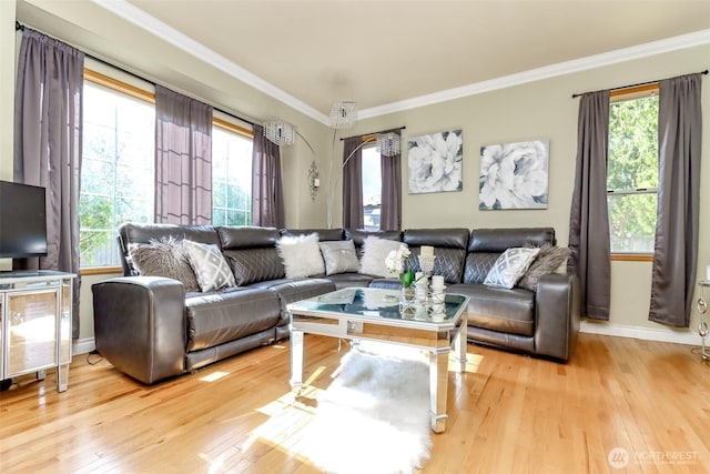 living room with baseboards, light wood-type flooring, and ornamental molding