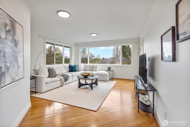 living area featuring baseboards, a healthy amount of sunlight, and light wood finished floors