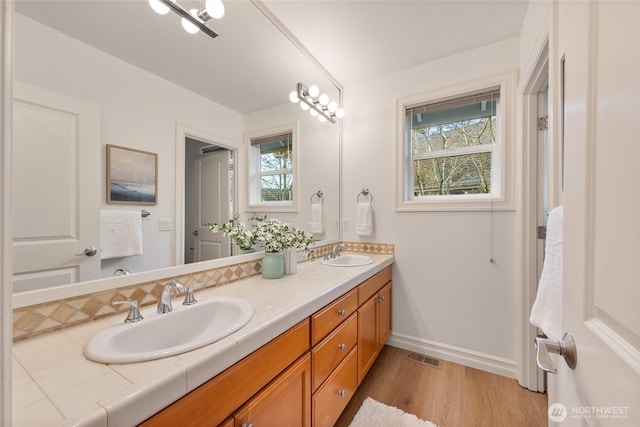 bathroom with double vanity, wood finished floors, baseboards, and a sink