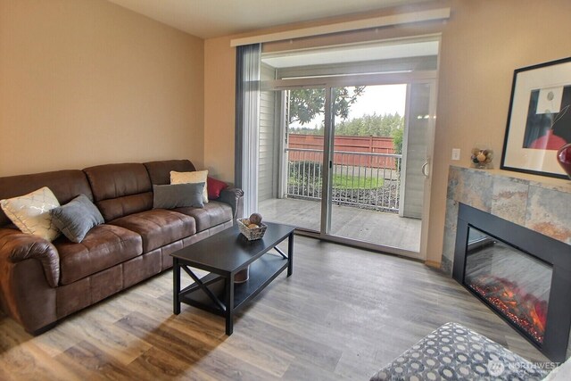 living area featuring a fireplace and wood finished floors