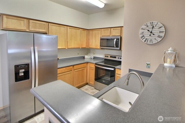 kitchen featuring light brown cabinetry, stainless steel appliances, and a sink