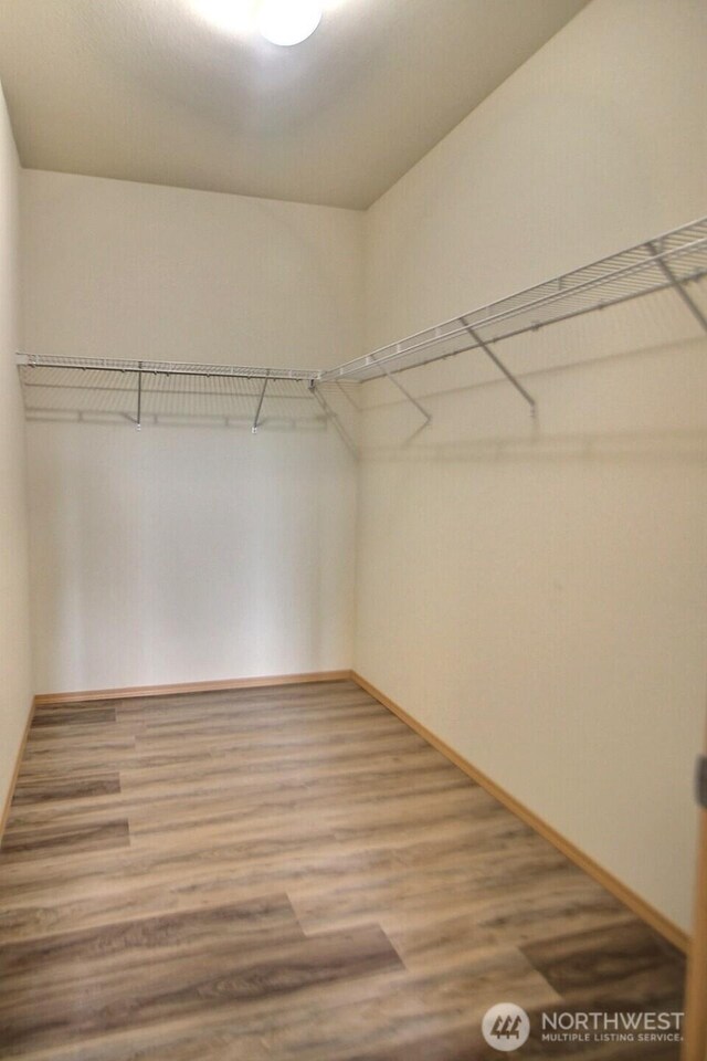 spacious closet with wood finished floors