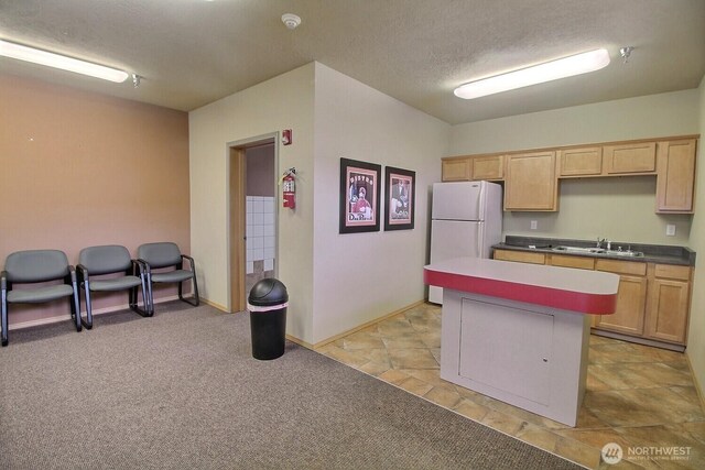 kitchen with light brown cabinetry, a sink, a textured ceiling, freestanding refrigerator, and light colored carpet