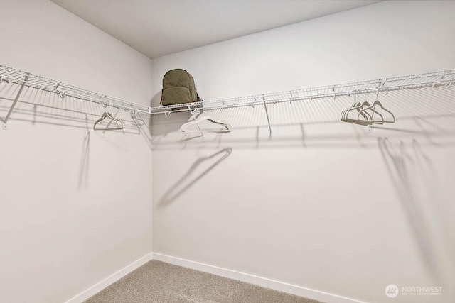 spacious closet with carpet floors