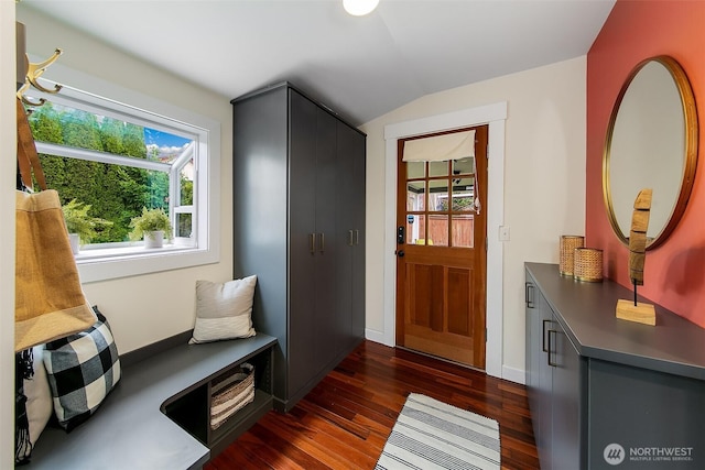 entrance foyer featuring baseboards, lofted ceiling, and dark wood finished floors