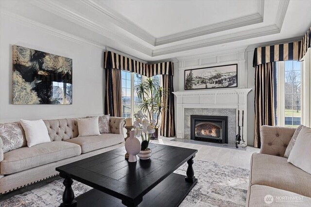 living area featuring a raised ceiling, a healthy amount of sunlight, and a premium fireplace