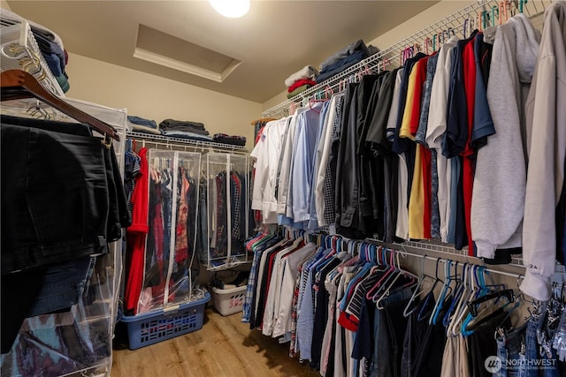 spacious closet featuring attic access and wood finished floors