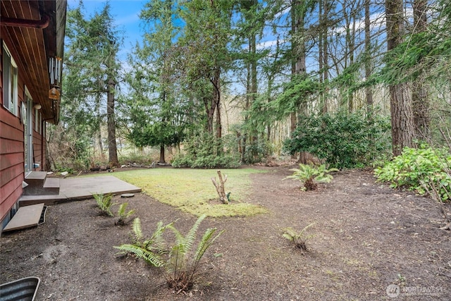 view of yard featuring a patio area