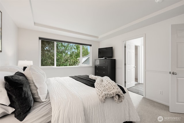 bedroom with light carpet and a raised ceiling