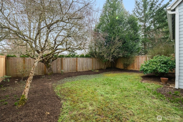 view of yard featuring a fenced backyard