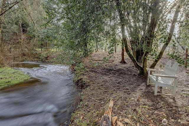 property view of water with a forest view