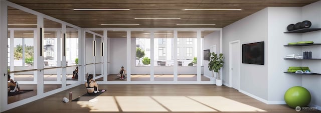 workout area featuring french doors, baseboards, and wood finished floors