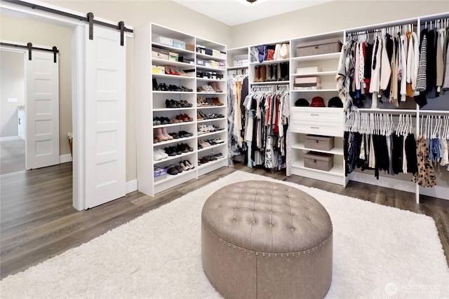 walk in closet featuring a barn door and wood finished floors